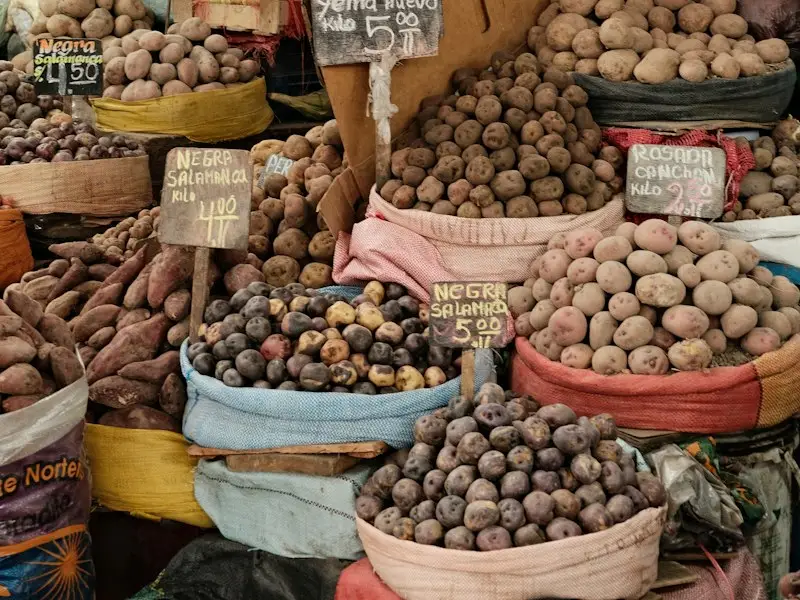 Puesto de mercado con sacos de papas, camotes y carteles de precios escritos a mano
